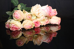 Bespoke Funerals in Netherton