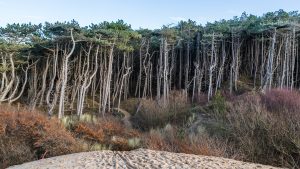 Non-religious Funerals near Bootle – Our Funeral Directors can Assist